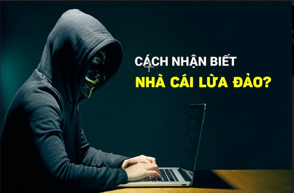 Những Điều Cần Biết Để Tránh Nhà Cái Lừa Đảo