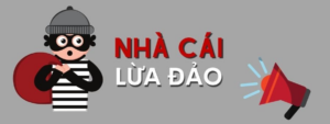 Nhà Cái Lừa Đảo - Cách Nhận Diện Và Lựa Chọn Sân Chơi Uy Tín VT999