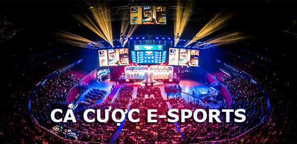 Top 5 Trang Cá Cược Esport Uy Tín Nhất 2025 - VT999 Cập Nhật