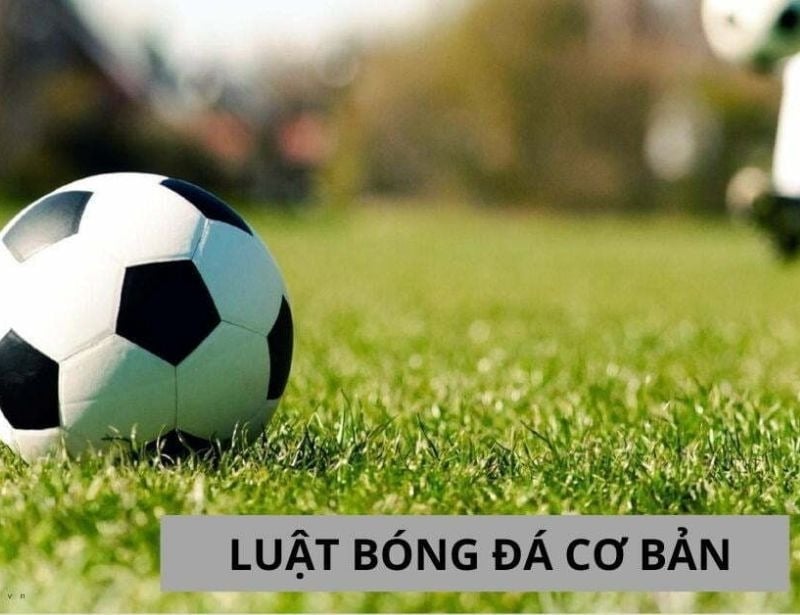 10. Luật Bóng Trong Cuộc và Bóng Ngoài Cuộc